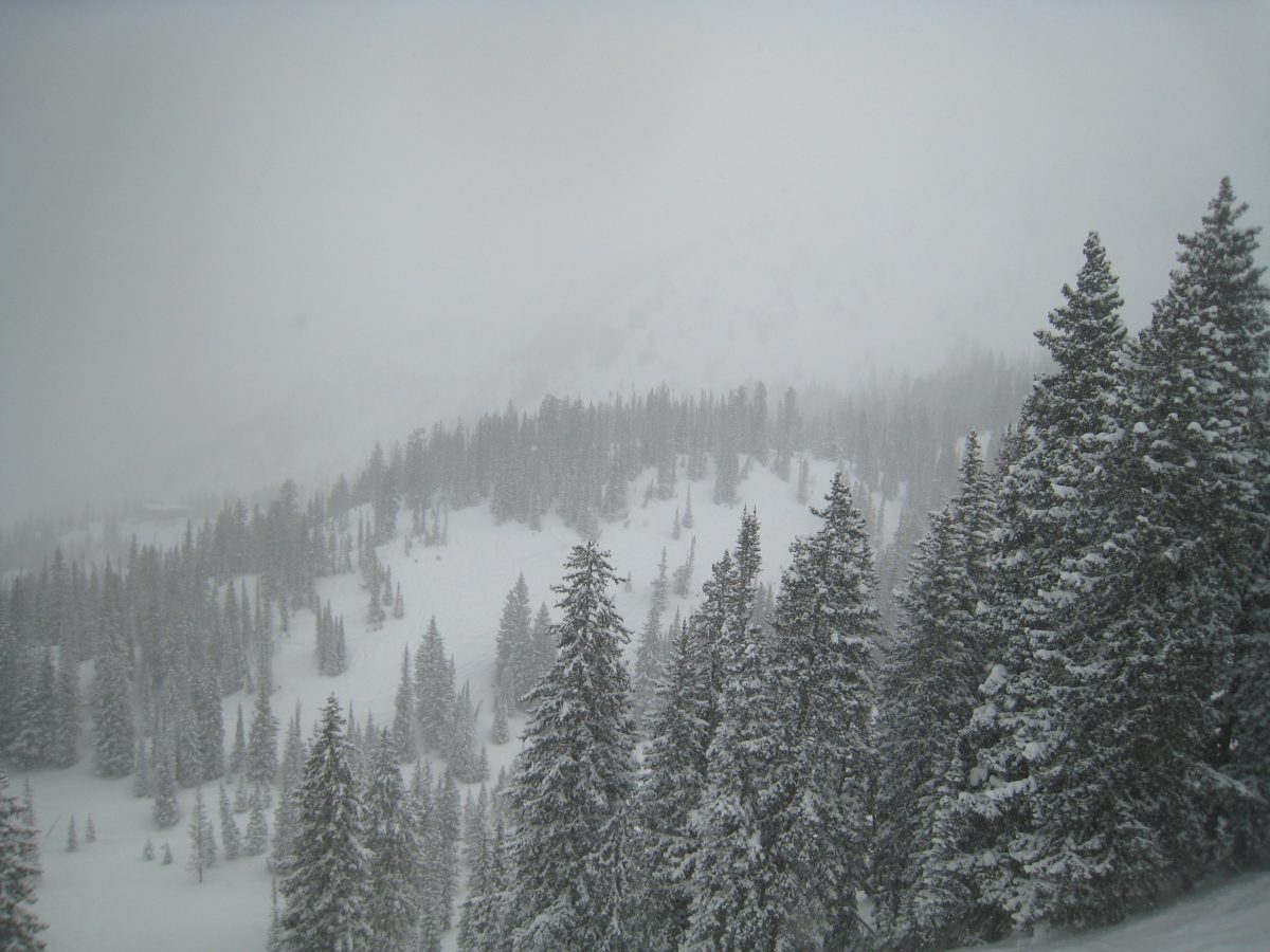 Snowbird & Alta currently rank as my favorite ski resorts!